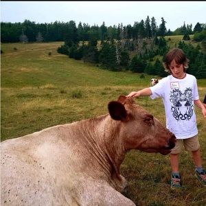 Meet your Posher, Dylan